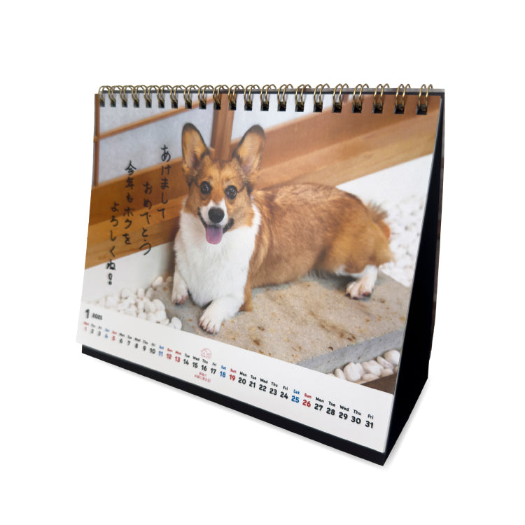 12月発送&「金額に応じた特典」対象外_ぽてとの冒険【コーギー】_ぽてとのカレンダー2025