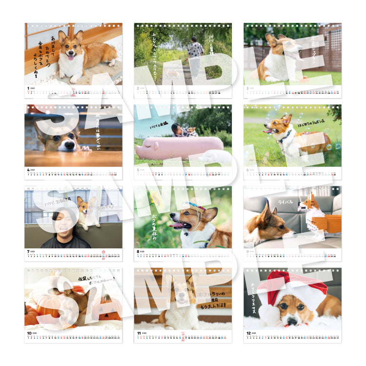 12月発送&「金額に応じた特典」対象外_ぽてとの冒険【コーギー】_ぽてとのカレンダー2025