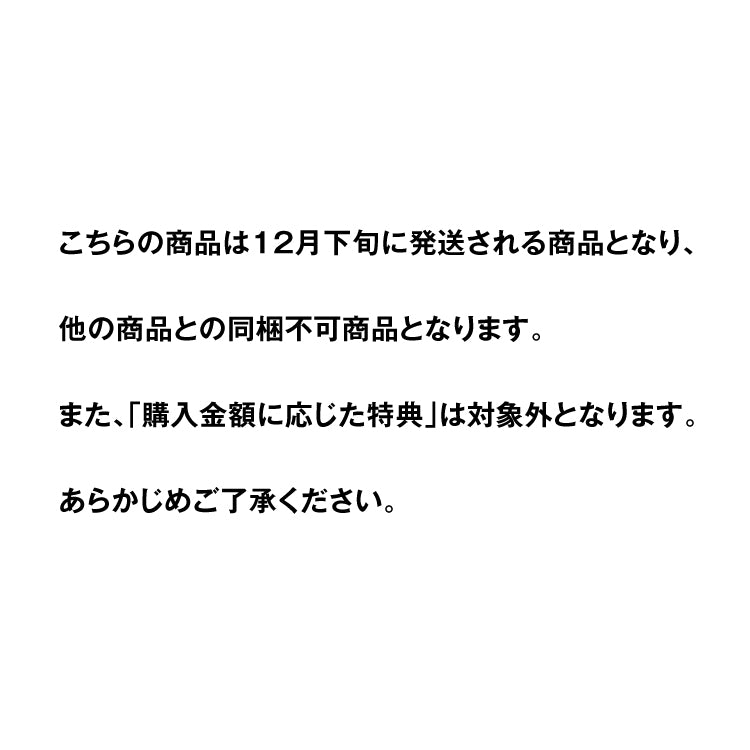 12月発送&「金額に応じた特典」対象外_ぽてとの冒険【コーギー】_ぽてとのカレンダー2025