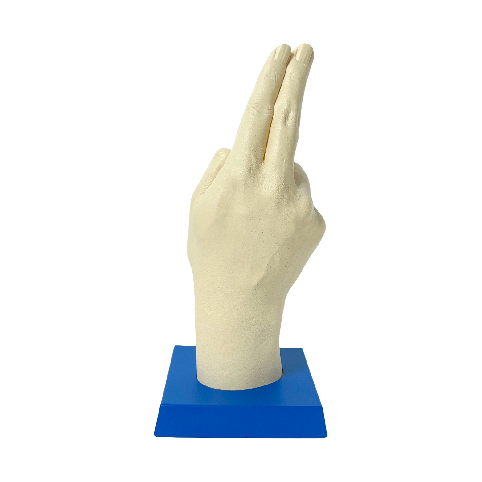 フィッシャーズの手形(アデューバージョン)