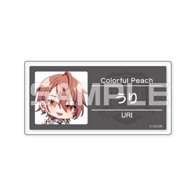 【カラフルピーチ】からぴちパラダイス2025 トレーディング名札バッジ(11種ランダム)