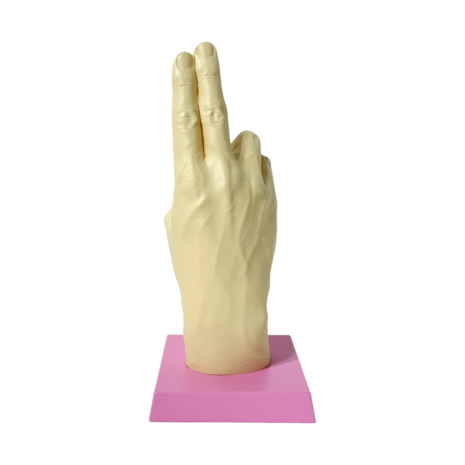 フィッシャーズの手形(アデューバージョン)