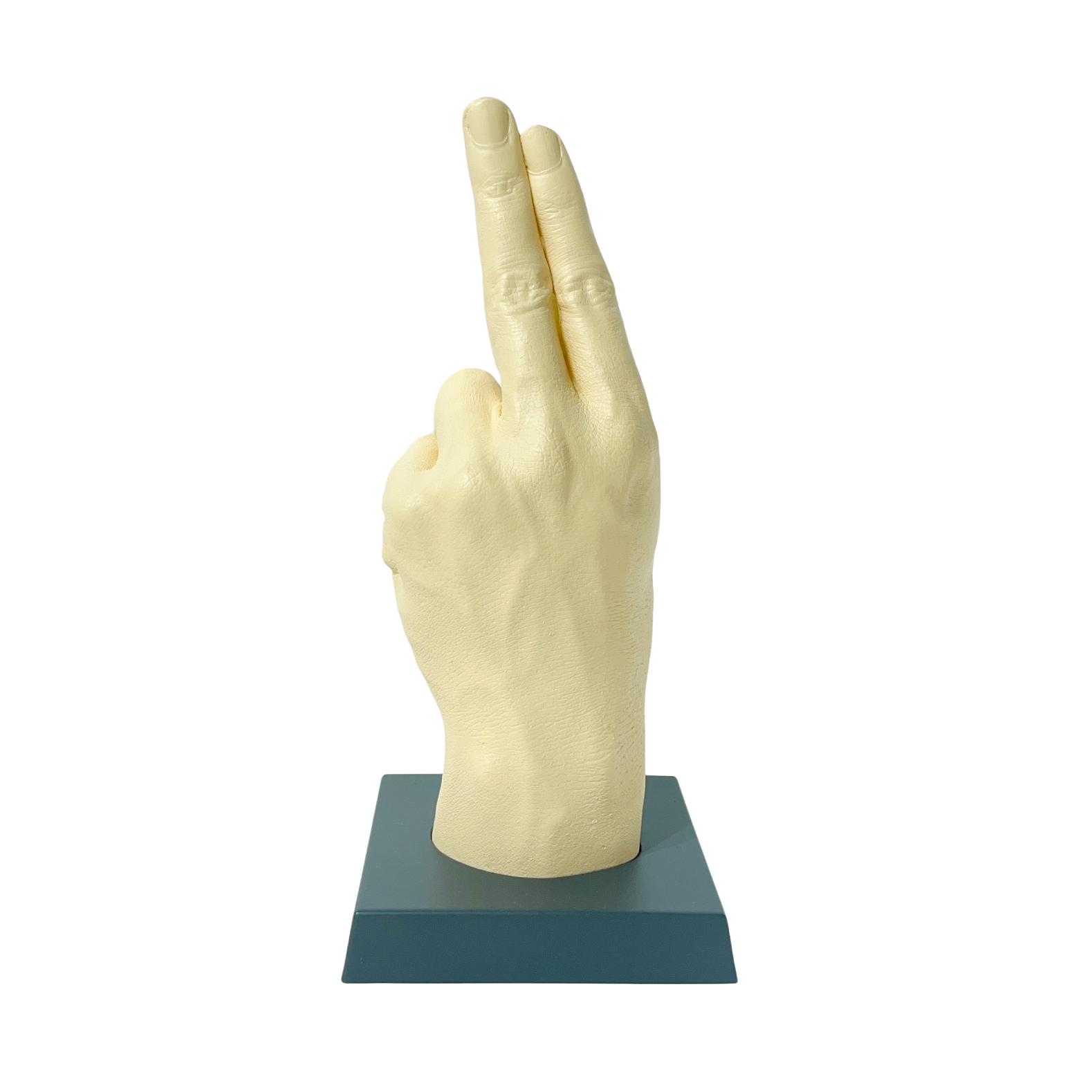 フィッシャーズの手形(アデューバージョン)