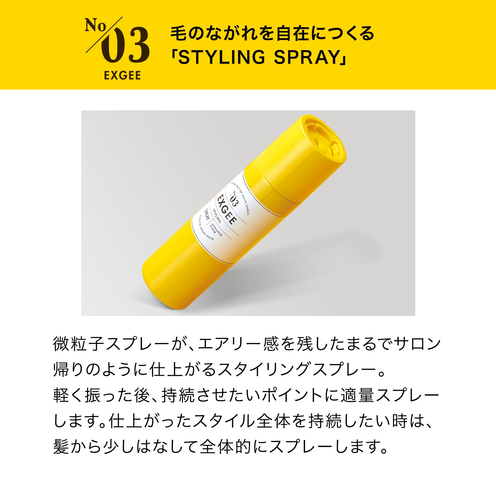 EXGEE ソフトワックス & スタイリングスプレー