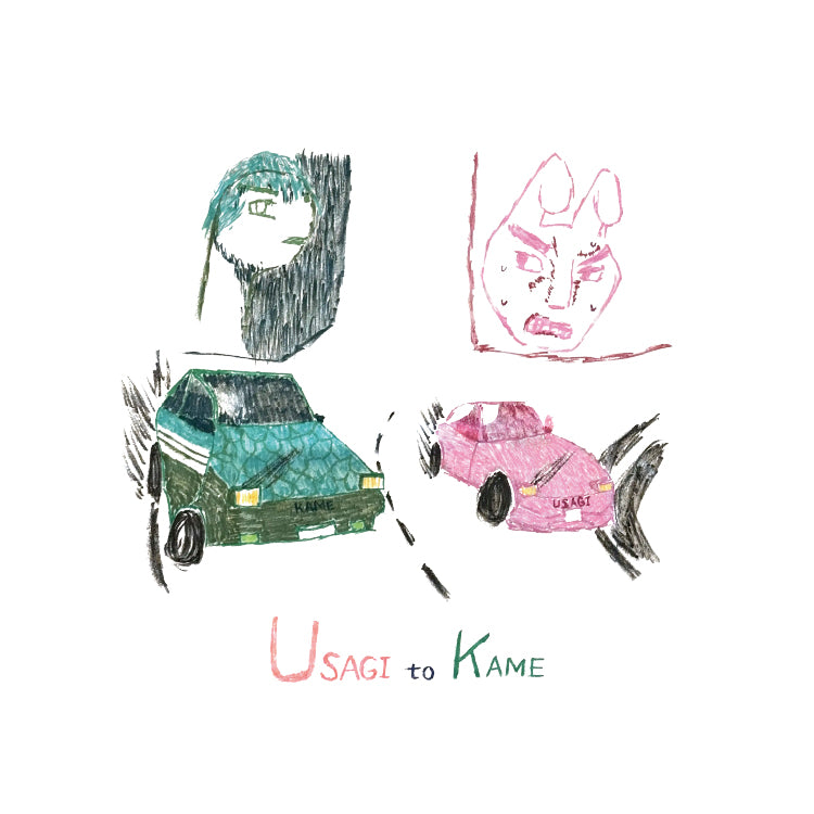 【HIMAWARIちゃんねる】もしうさぎとカメが現代の峠でレースをしたら