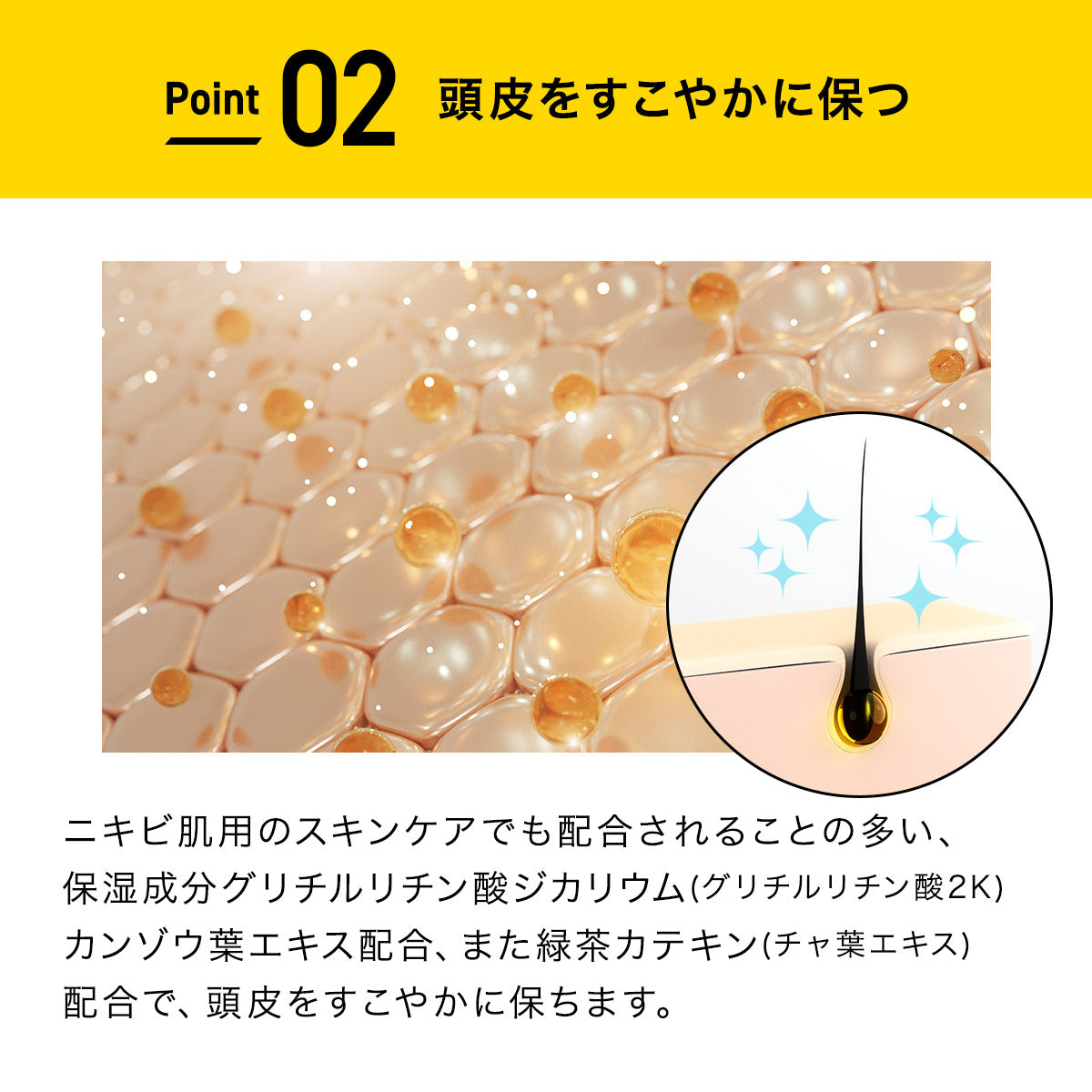 EXGEE 全商品セット