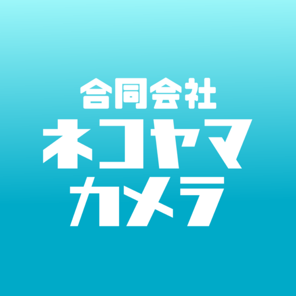 ネコヤマショップ