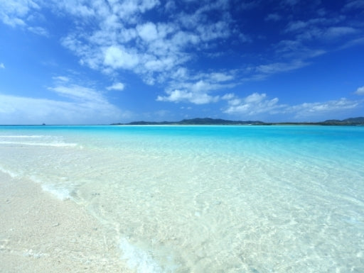 のんたろうチャンネル