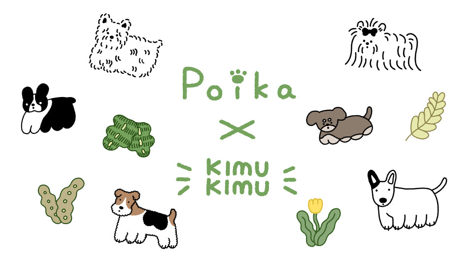 2023SS Poika × KIMUKIMU