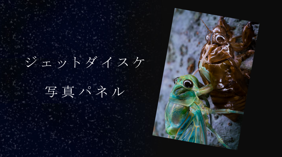 【ジェットダイスケ】写真パネル販売中！！