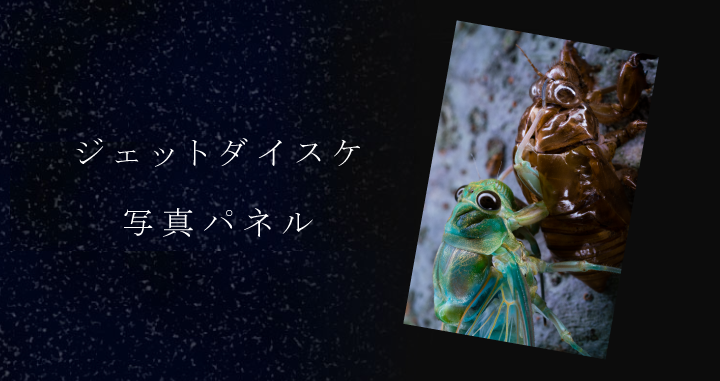 ジェットダイスケ