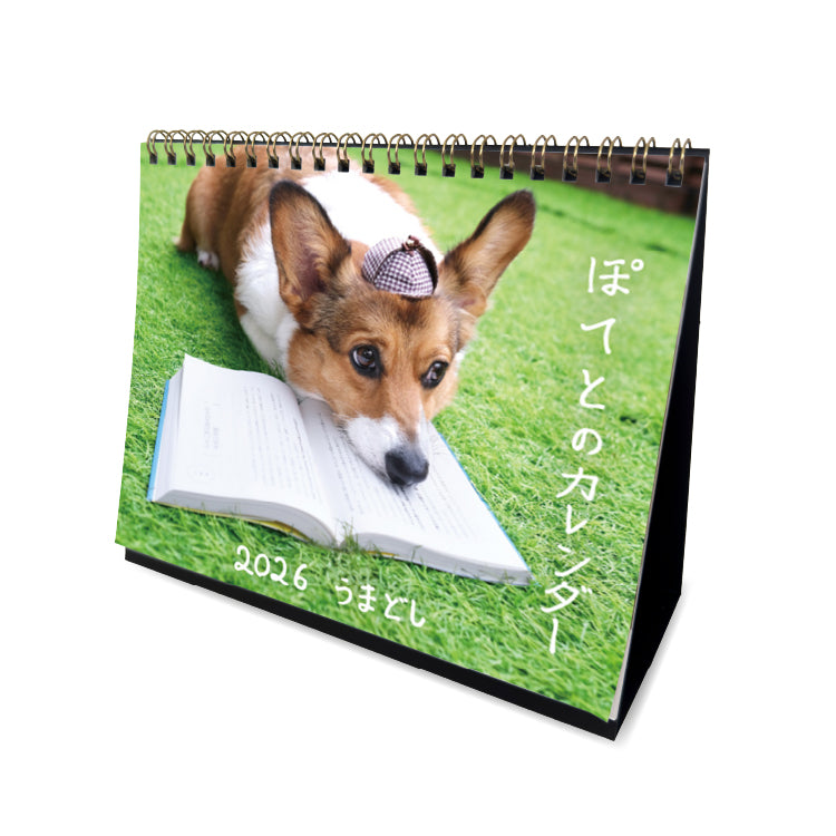 ぽてとの冒険【コーギー】_ぽてとのカレンダー2026｜水溜りボンド