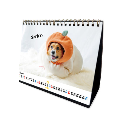 ぽてとの冒険【コーギー】_ぽてとのカレンダー2026