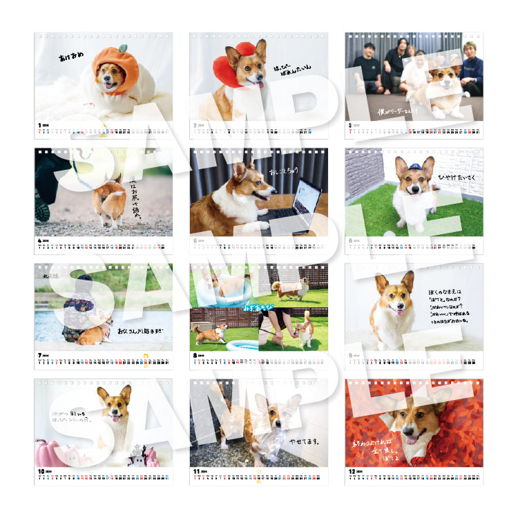 ぽてとの冒険【コーギー】_ぽてとのカレンダー2026