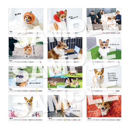 ぽてとの冒険【コーギー】_ぽてとのカレンダー2026