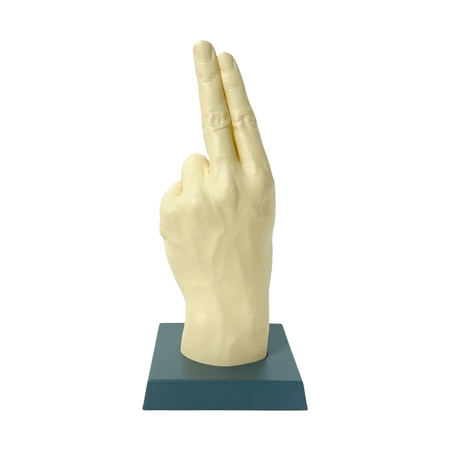 フィッシャーズの手形（アデューバージョン）