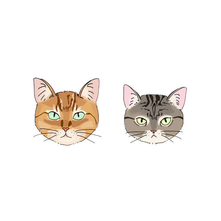 HIMAWARIちゃんねる まーちゃん_にゃんこの日チャリティー【Tシャツ】