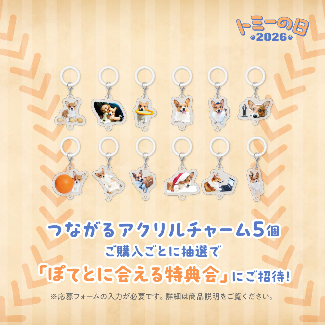 ぽてとのつながるアクリルチャーム【トミーの日2026】